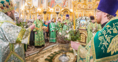 В праздник Вербного воскресенья митр. Викторин совершил богослужения в кафедральном храме