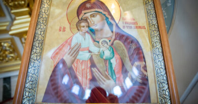 В День защиты детей в кафедральном соборе освятили икону Божией Матери "Скорбящая о младенцах, во чреве убиенных"