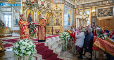 Служение митр. Викторина в среду Светлой Седмицы